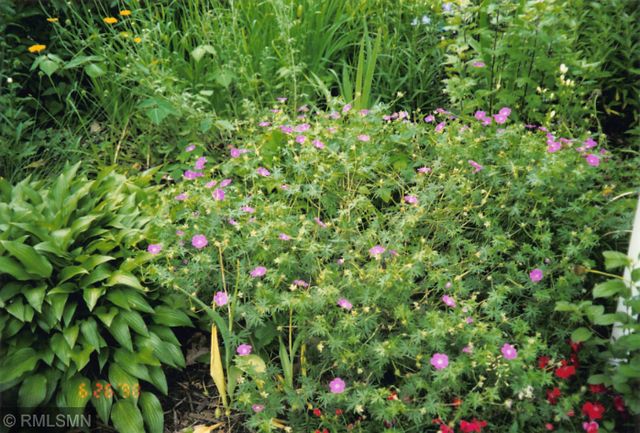 5770 Main Street W, Maple Plain, MN 55359