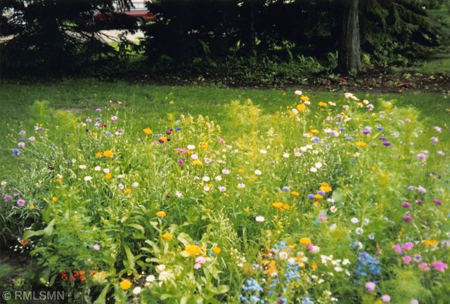 5770 Main Street W, Maple Plain, MN 55359