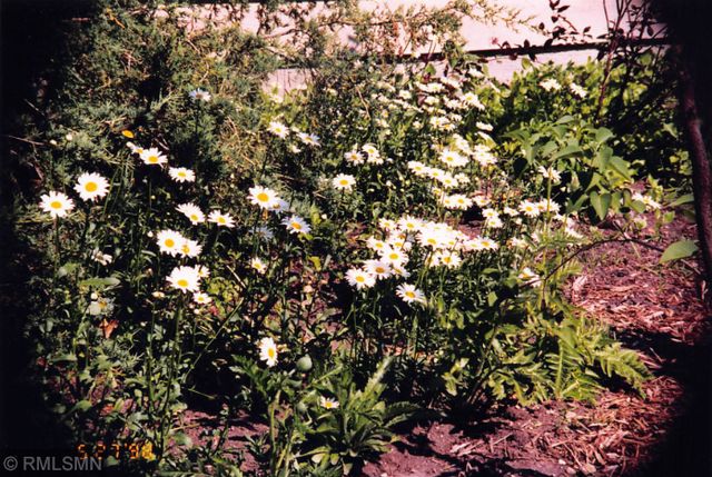 5770 Main Street W, Maple Plain, MN 55359