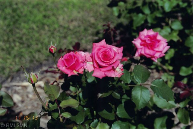 5770 Main Street W, Maple Plain, MN 55359