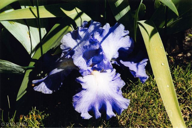 5770 Main Street W, Maple Plain, MN 55359