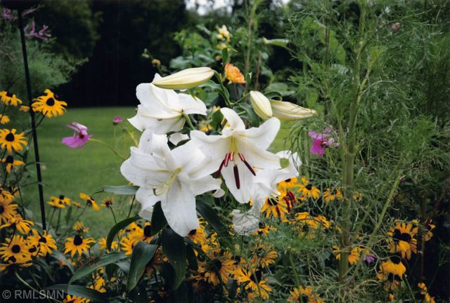 5770 Main Street W, Maple Plain, MN 55359