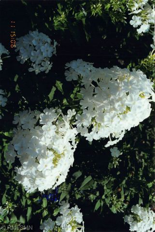 5770 Main Street W, Maple Plain, MN 55359