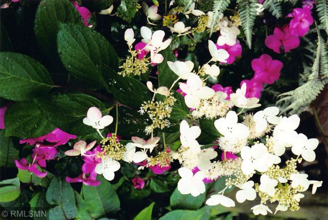 5770 Main Street W, Maple Plain, MN 55359