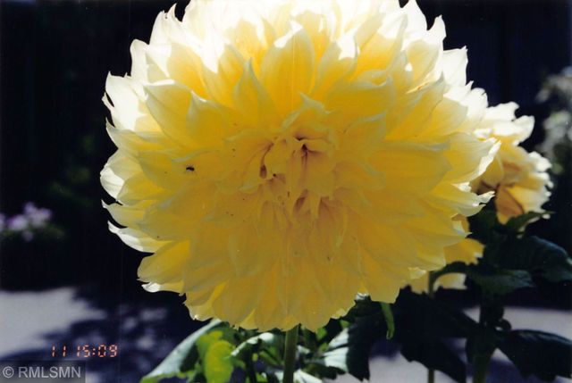 5770 Main Street W, Maple Plain, MN 55359