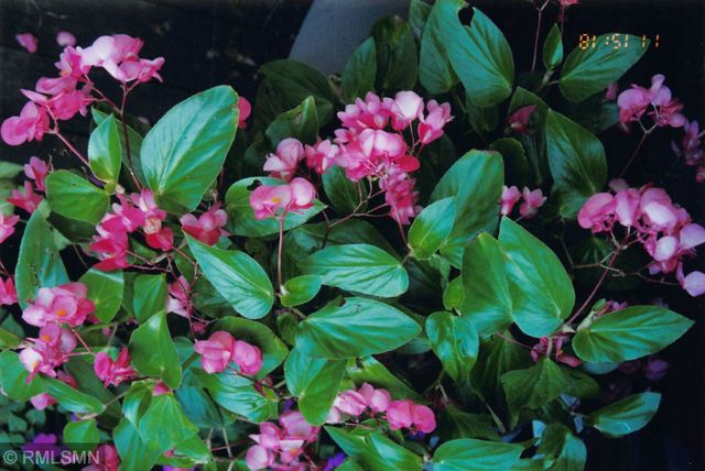 5770 Main Street W, Maple Plain, MN 55359