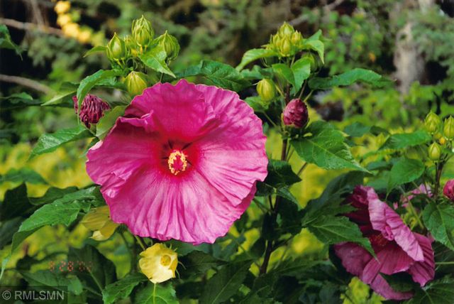 5770 Main Street W, Maple Plain, MN 55359