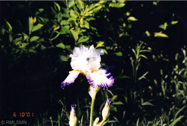 5770 Main Street W, Maple Plain, MN 55359