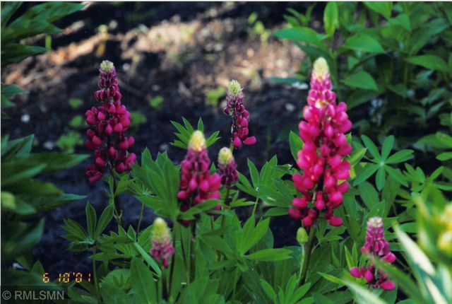 5770 Main Street W, Maple Plain, MN 55359