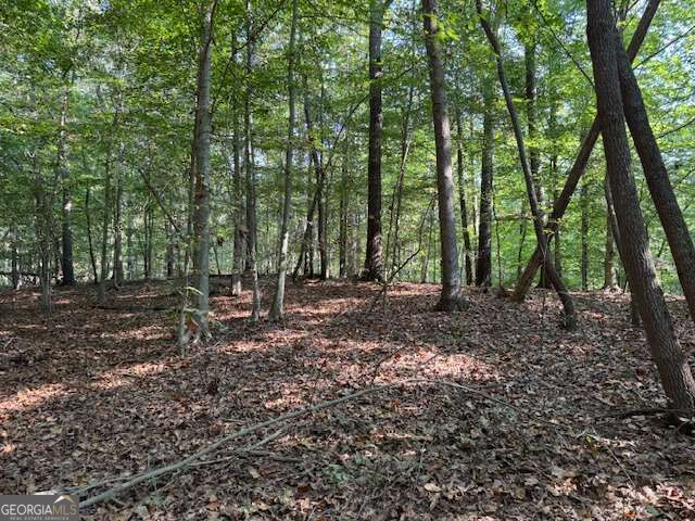340 Jesse Martin Trail, Canton, GA 30115