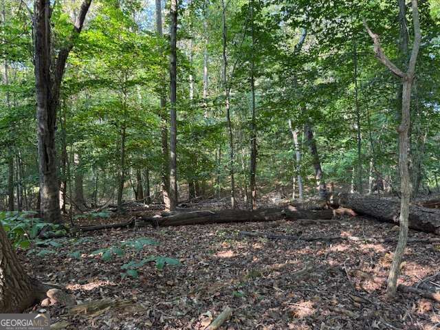 340 Jesse Martin Trail, Canton, GA 30115