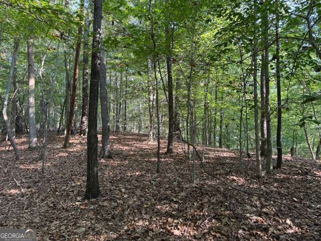 340 Jesse Martin Trail, Canton, GA 30115