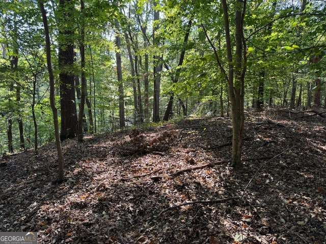 340 Jesse Martin Trail, Canton, GA 30115