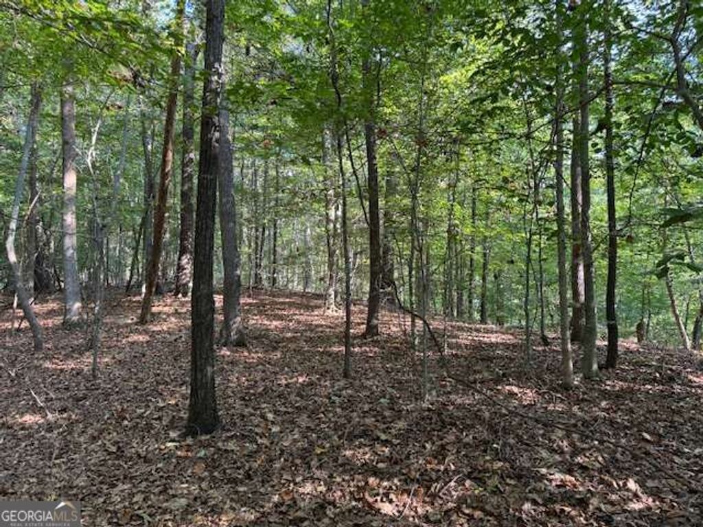 340 Jesse Martin Trail, Canton, GA 30115 — photo 5