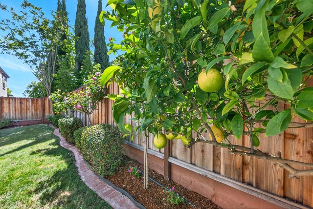 225 W Ferndale Avenue, Sunnyvale, CA 94085