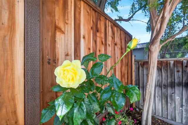 225 W Ferndale Avenue, Sunnyvale, CA 94085