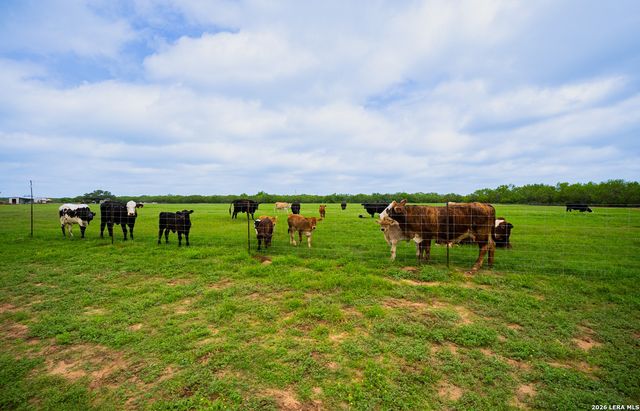 366 COUNTY ROAD 2543, Moore, TX 78057