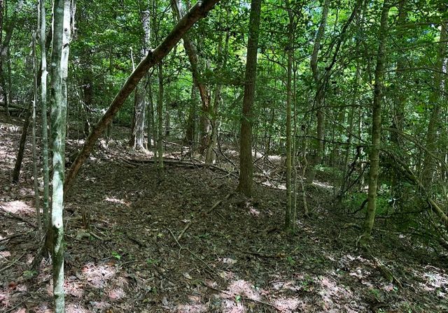 lot 108 Red Oak Trail, Ellijay, GA 30540