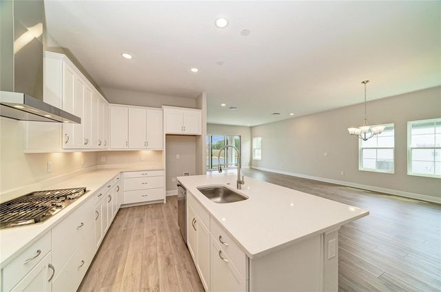 35563 STABLETON LANE, Zephyrhills, FL 33541