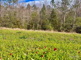 Lot 14-C Hwy 29, Molino, FL 32577