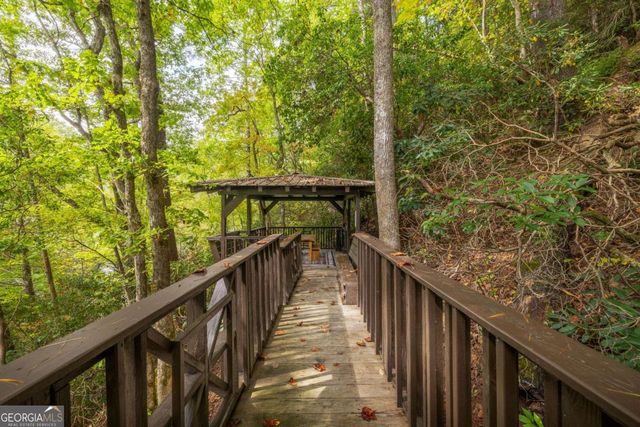 7670 Hiawassee Wilderness Trail, Hiawassee, GA 30546