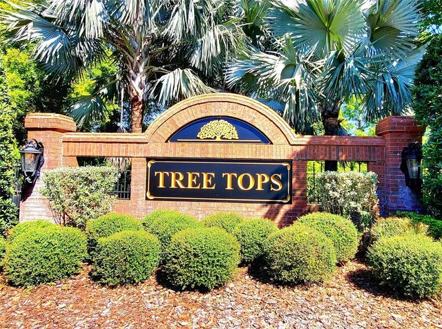 10004 TREE TOPS LAKE ROAD, Tampa, FL 33626