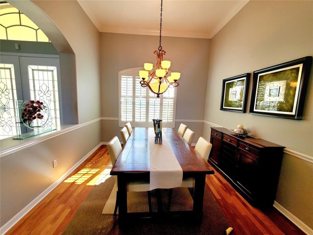 10004 TREE TOPS LAKE ROAD, Tampa, FL 33626