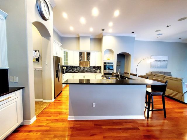 10004 TREE TOPS LAKE ROAD, Tampa, FL 33626