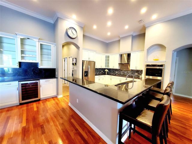 10004 TREE TOPS LAKE ROAD, Tampa, FL 33626