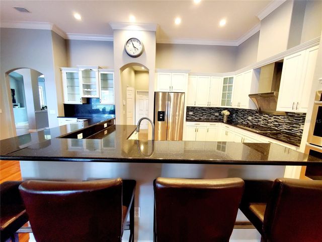 10004 TREE TOPS LAKE ROAD, Tampa, FL 33626