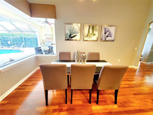 10004 TREE TOPS LAKE ROAD, Tampa, FL 33626