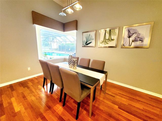 10004 TREE TOPS LAKE ROAD, Tampa, FL 33626