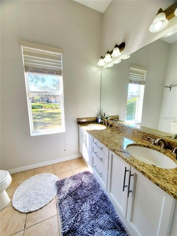 10004 TREE TOPS LAKE ROAD, Tampa, FL 33626