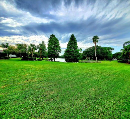 10004 TREE TOPS LAKE ROAD, Tampa, FL 33626