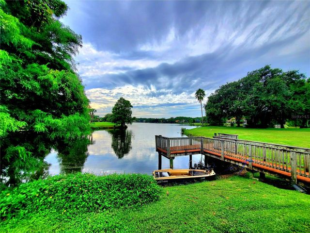 10004 TREE TOPS LAKE ROAD, Tampa, FL 33626