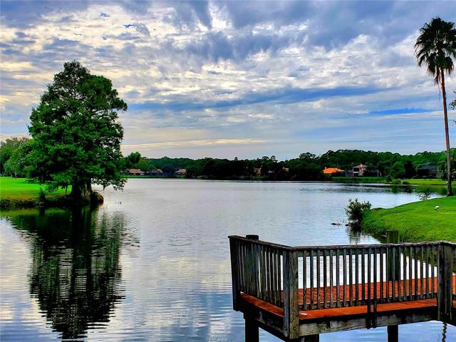 10004 TREE TOPS LAKE ROAD, Tampa, FL 33626