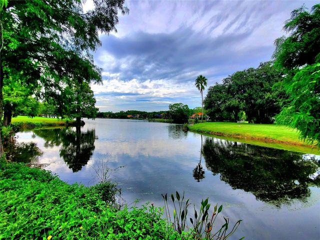 10004 TREE TOPS LAKE ROAD, Tampa, FL 33626