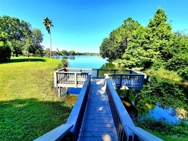 10004 TREE TOPS LAKE ROAD, Tampa, FL 33626