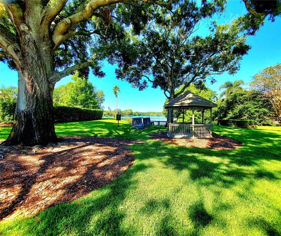 10004 TREE TOPS LAKE ROAD, Tampa, FL 33626