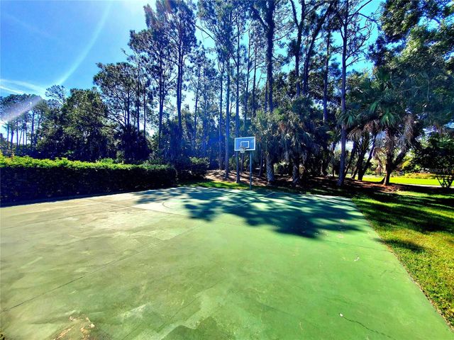 10004 TREE TOPS LAKE ROAD, Tampa, FL 33626