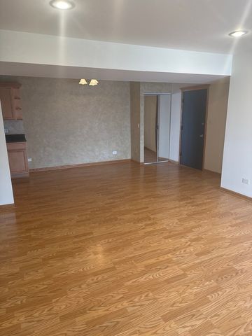 5721 CIRCLE Drive 304, Oak Lawn, IL 60453