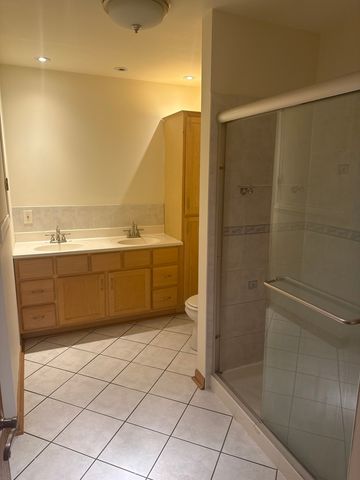 5721 CIRCLE Drive 304, Oak Lawn, IL 60453