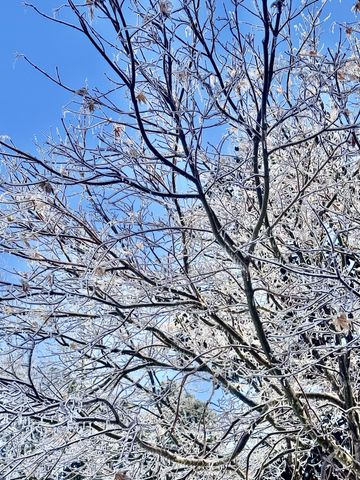 643 Cornwall Rd, Clarksville, TN 37043