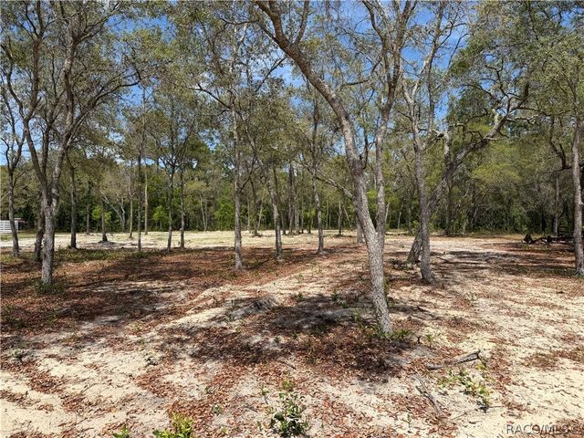 6295 W Green Acres Street, Homosassa, FL 34446