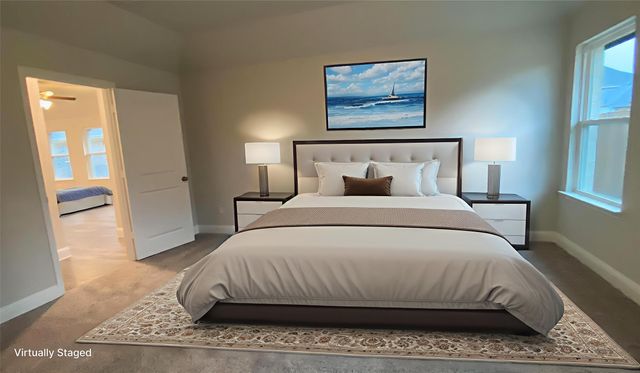 213 Portina Drive, Anna, TX 75409