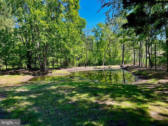 1025 DUNDEE CT, Chester, MD 21619