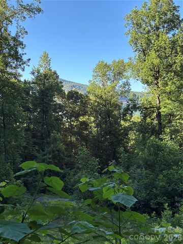 0 Lower Collier Cobb Drive, Lake Lure, NC 28746