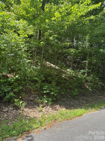 0 Lower Collier Cobb Drive, Lake Lure, NC 28746