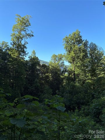 0 Lower Collier Cobb Drive, Lake Lure, NC 28746