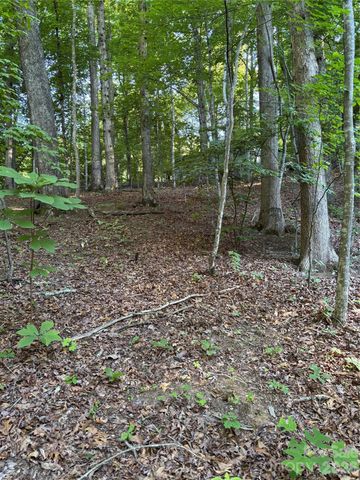 0 Lower Collier Cobb Drive, Lake Lure, NC 28746